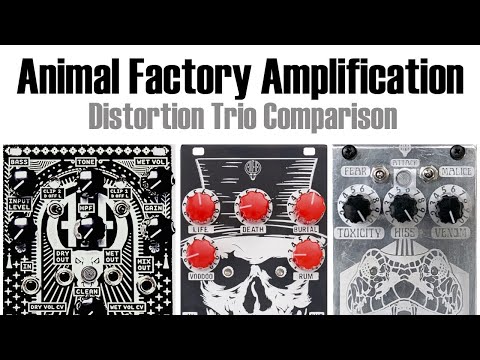 Animal Factory Amplification - Distortion Trio