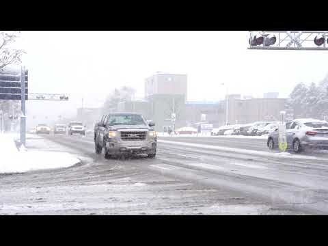 11-11-2019 Royal Oak, MI - Heavy Impactful Snowstorm