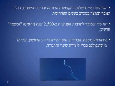 מצגת מיינדפולנס - ERANooT