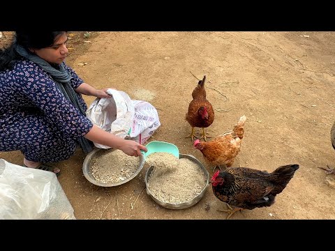 A Day at Farm||Farm Living with Sarada&Ganga|| B like Bindu