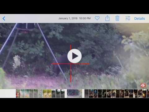 ATN Obsidian Gallery Import