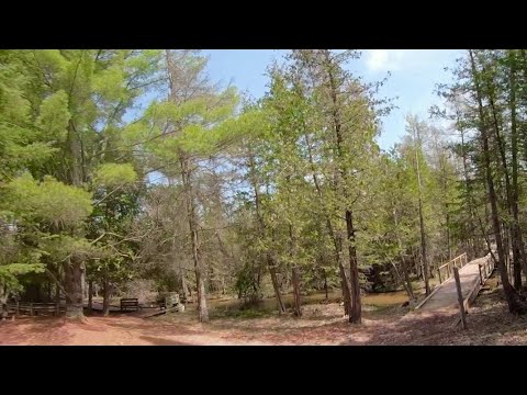 Grass River Natural Area Trails -- A 4K 360 VR Experience