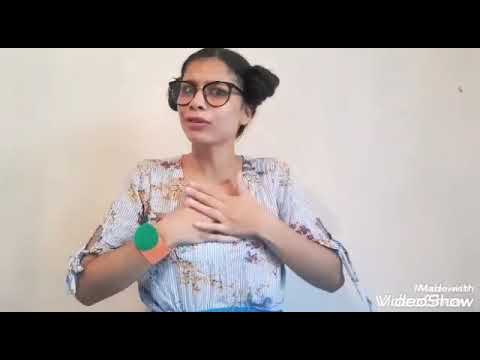 Priscila Barbosa | Tempo para tudo | Cuco Maluco | Rebeca Nemer | ⏰⏰