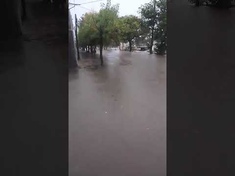 ⚠️🌧️ Se reportan anegamientos en Devoto, provincia de Córdoba.🎥 06/04/26 #lluvia