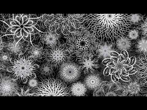 Psytrance dj hashbury are you experienced deep spaces 2nd hour 152 162 bpm