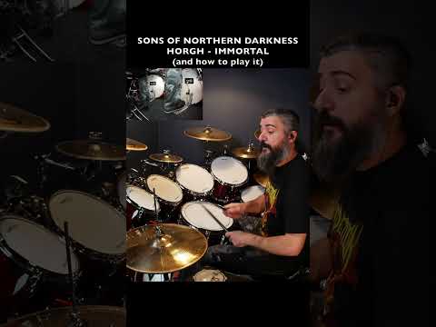 BLACK METAL DRUMS - IMMORTAL - SONS OF NORTHERN DARKNESS - HORGH