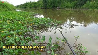Download lagu Surga Tersembunyi Spot Liar Tak Terjamah! Ikan Gede-Gede Semua! mp3