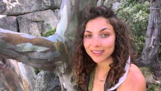 A Message from the Mountains - Listen To Me