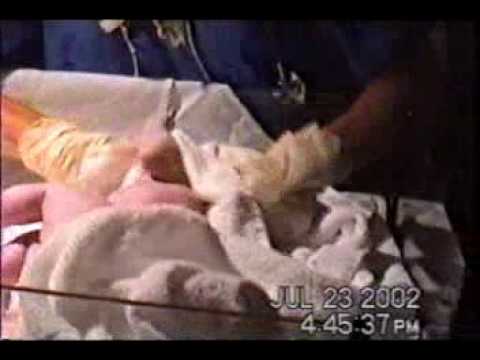 Mariana's first year.flv