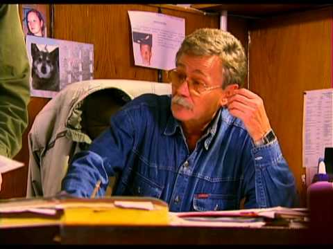 Робин Гуд с большой дороги - Чужие ошибки - Серия 1. Часть 1