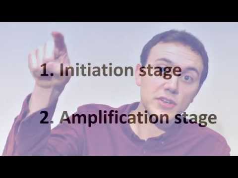 Coagulation Cascade Animation