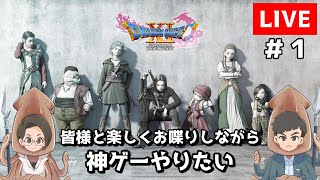 ヤリイカ夫婦のドラゴンクエスト１１S（Steam版）