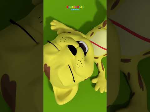 Laughing Leopard│Phonics Friends