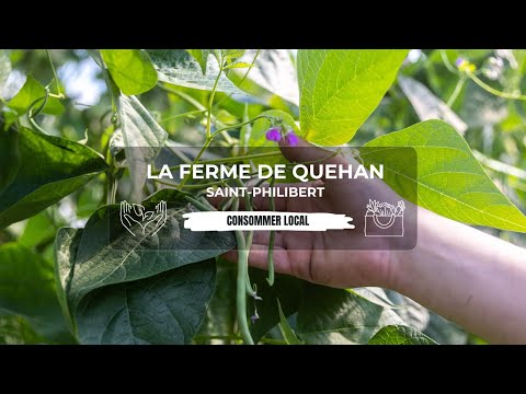 La Ferme de Quéhan - Saint-Philibert, Morbihan