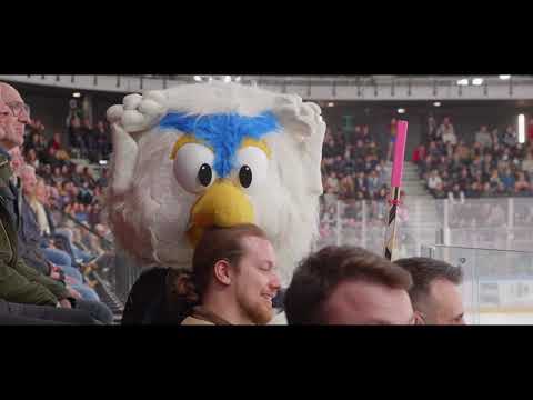 Les Ducs d'Angers comptent sur vous !