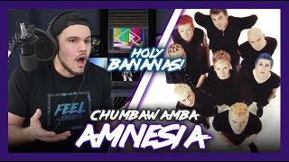 First Time Reaction Chumbawamba Amnesia (This One is Screw Loose!) | Dereck Reacts