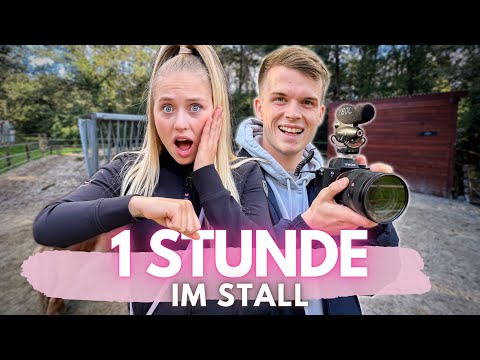 Only ONE HOUR in the STABLE