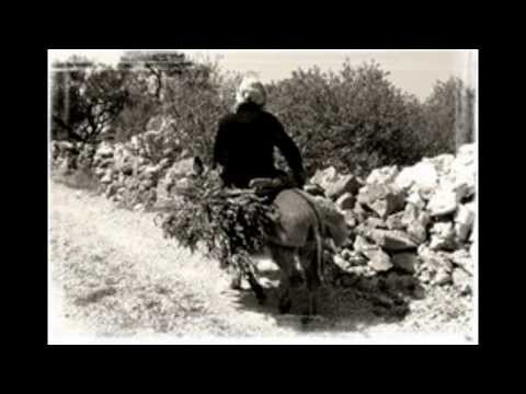 Meri Šeparović -Zavit .