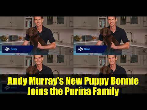 Andy Murray's New Puppy Bonnie Joins the Purina Family