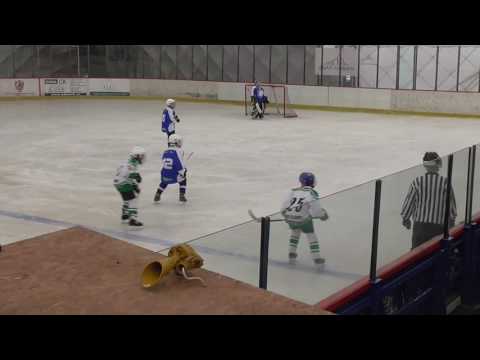 11.2.2017 HC Žebrák HC Slavoj CK mladší žáci