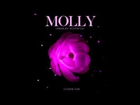 SUSTOCIA x Luizor EIM || Molly || [Official Audio]