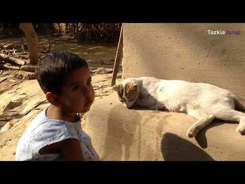 Cat And Kid Funny Video