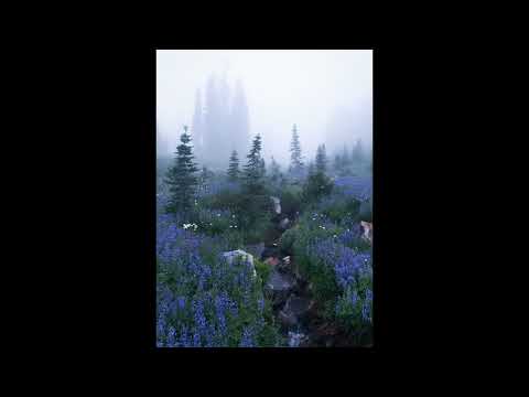 [FREE] h jeunecrack + 8ruki type beat - "exodus" (p. 6min)