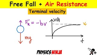 Free Fall with Air Resistance - Terminal Velocity