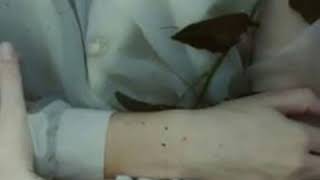 Rû Anısına  |Mehtap Meral | Bir Özlemin İzdüşümü