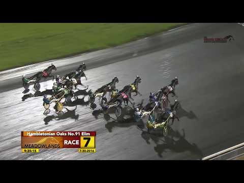July 30, 2016 Race 07 Hambletonian Oaks Elim 2