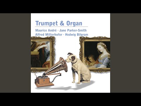 Sonata da camera No. 2 in A Minor: I. Adagio (Arr. for Trumpet and Organ)