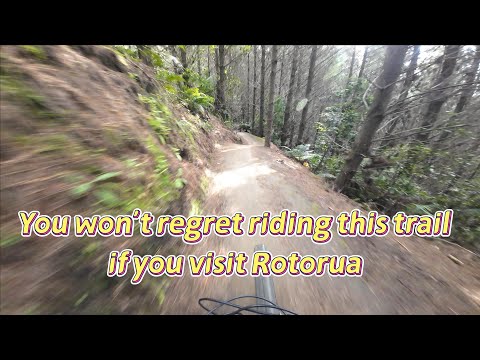 You won't regret riding this trail if you visit Rotorua @Te Poaka
