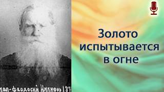 Золото испытывается в огне