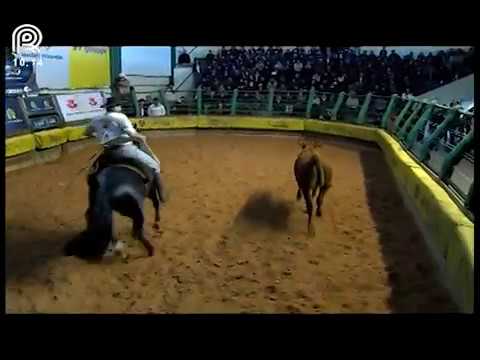 FICCC de Esteio (RS) – 2° lugar machos – Ja Libertador (Prova: Mangueira II)