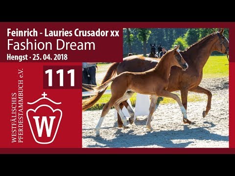 111 Fashion Dream HF v. Feinrich - Lauries  Crusador xx