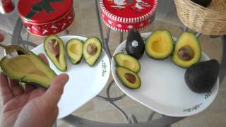 Jim Bacon, Hass and Lamb Hass Avocado Fruit Tasting.AVI