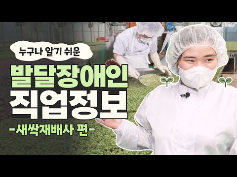 [발달장애인 직업정보] 자동화 설비를 이용해 싹을 틔우고 포장을 하는 새싹재배사