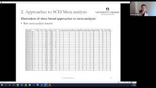 Meta-analysis of single-case experimental designs: An overview on curr