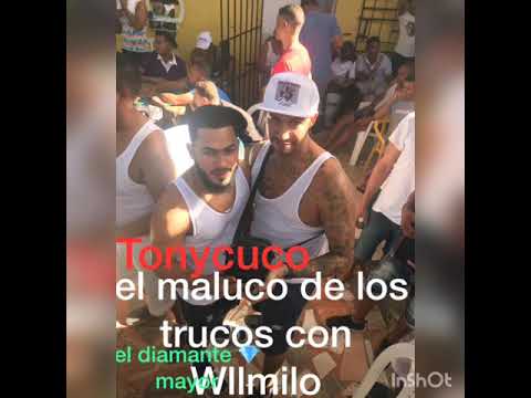 Tony cuco el maluco de los trucos