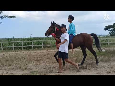 Duel sengit Lapangan berdebu sesake Lombok tengah. Jarot vs cap RG N malvinas vs Hitam
