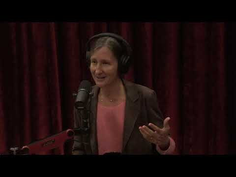 Joe Rogan Experience #1708 - Anne Lembke