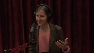 JRE 1708 - Anne Lembke