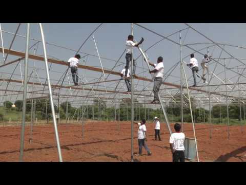 Dome shaped agricultural greenhouse polyhouse, for agricultu...