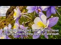 No Condemnation  -    Don Moen
