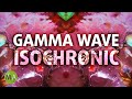 Gamma Wave 40Hz Isochronic Tones, Memory, Cognition and Brain Health