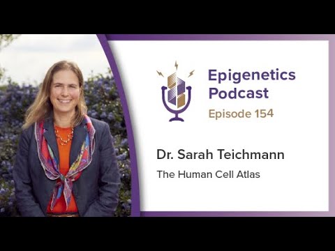 Epigenetics Podcast #154 - The Human Atlas Project with Sarah Teichmann