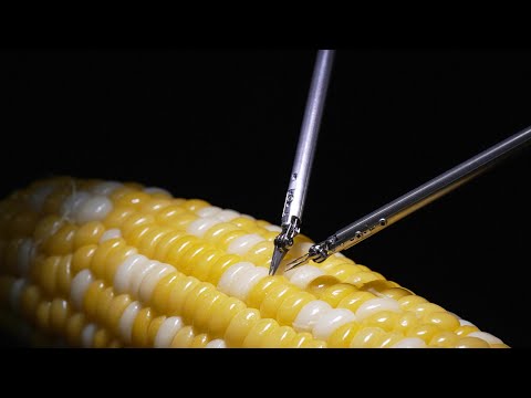 Microsurgery Robot Operates on a Single Corn Kernel