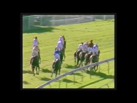 Planet Ruler 1988 Queensland Guineas