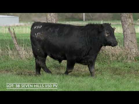 Lot 38  SEVEN HILLS V50 PV