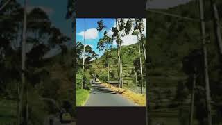 Download lagu Story' wa dj terpesona terbaru mp3